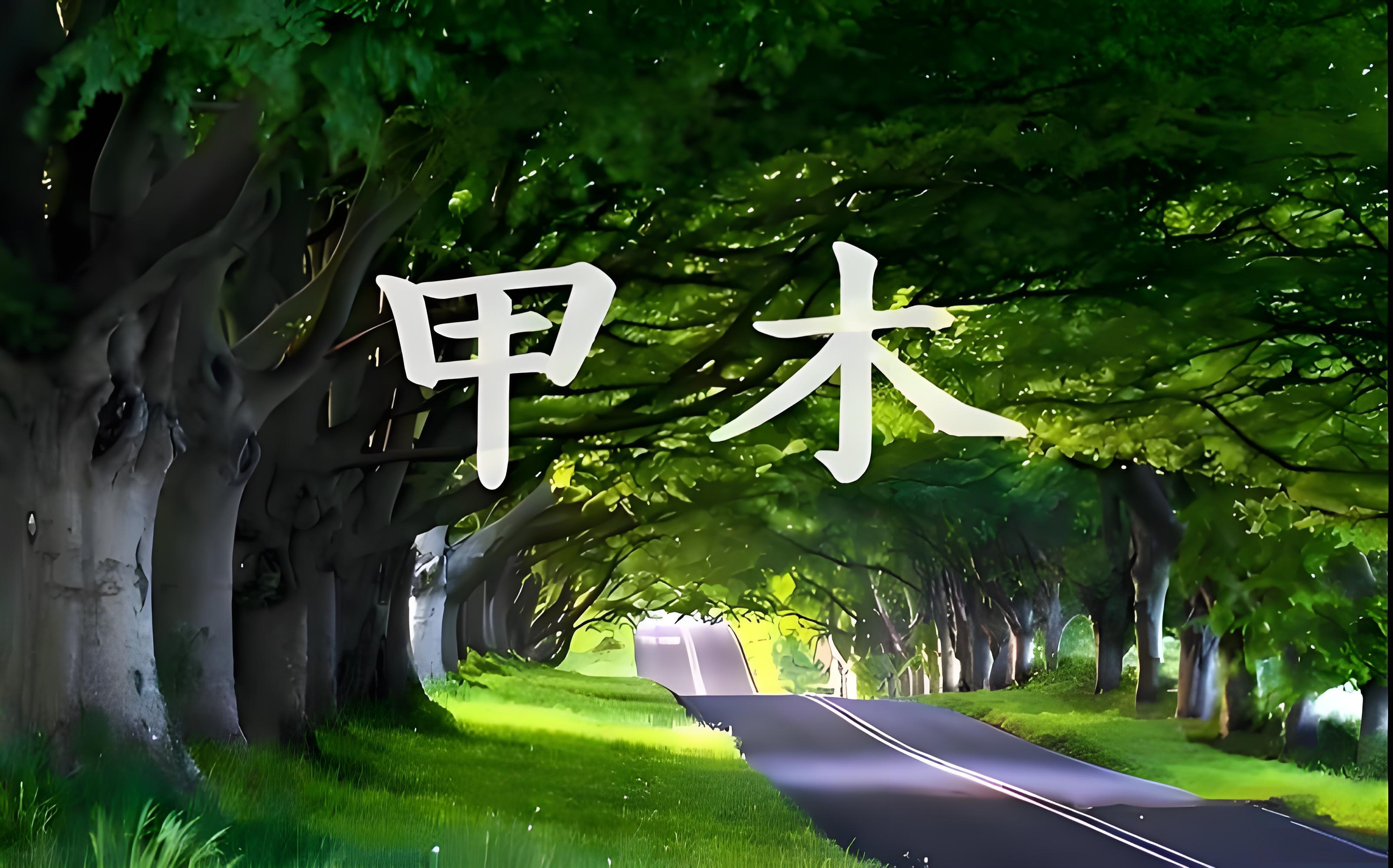 李昱山老师：2026丙午年甲木日元运势解读